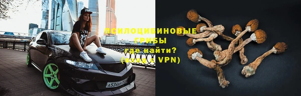 индика Майский