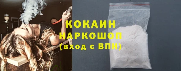 индика Майский
