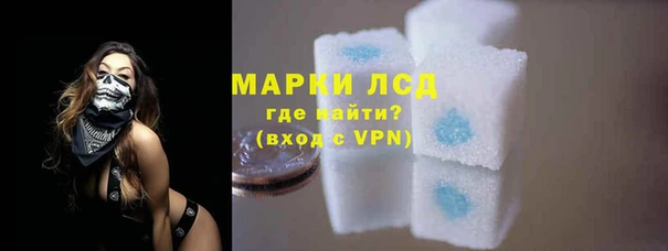 индика Майский