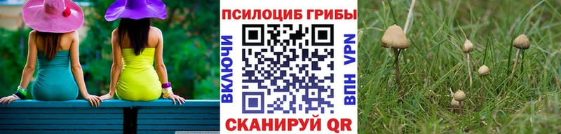 Купить где  Новочеркасск  Галлюциногенные грибы прущие грибы 